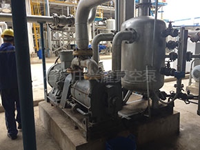 2BE水环真空泵闭环机组.jpg