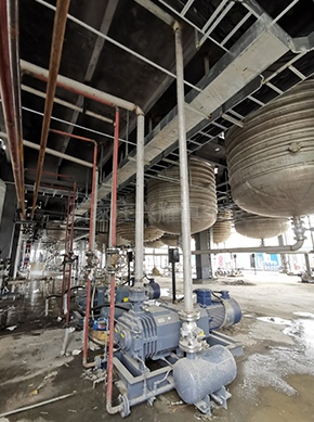 螺杆真空泵 (2).jpg