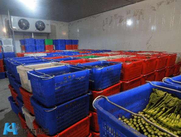 农产品出口稳步增长 水果蔬菜冷库制作少不了